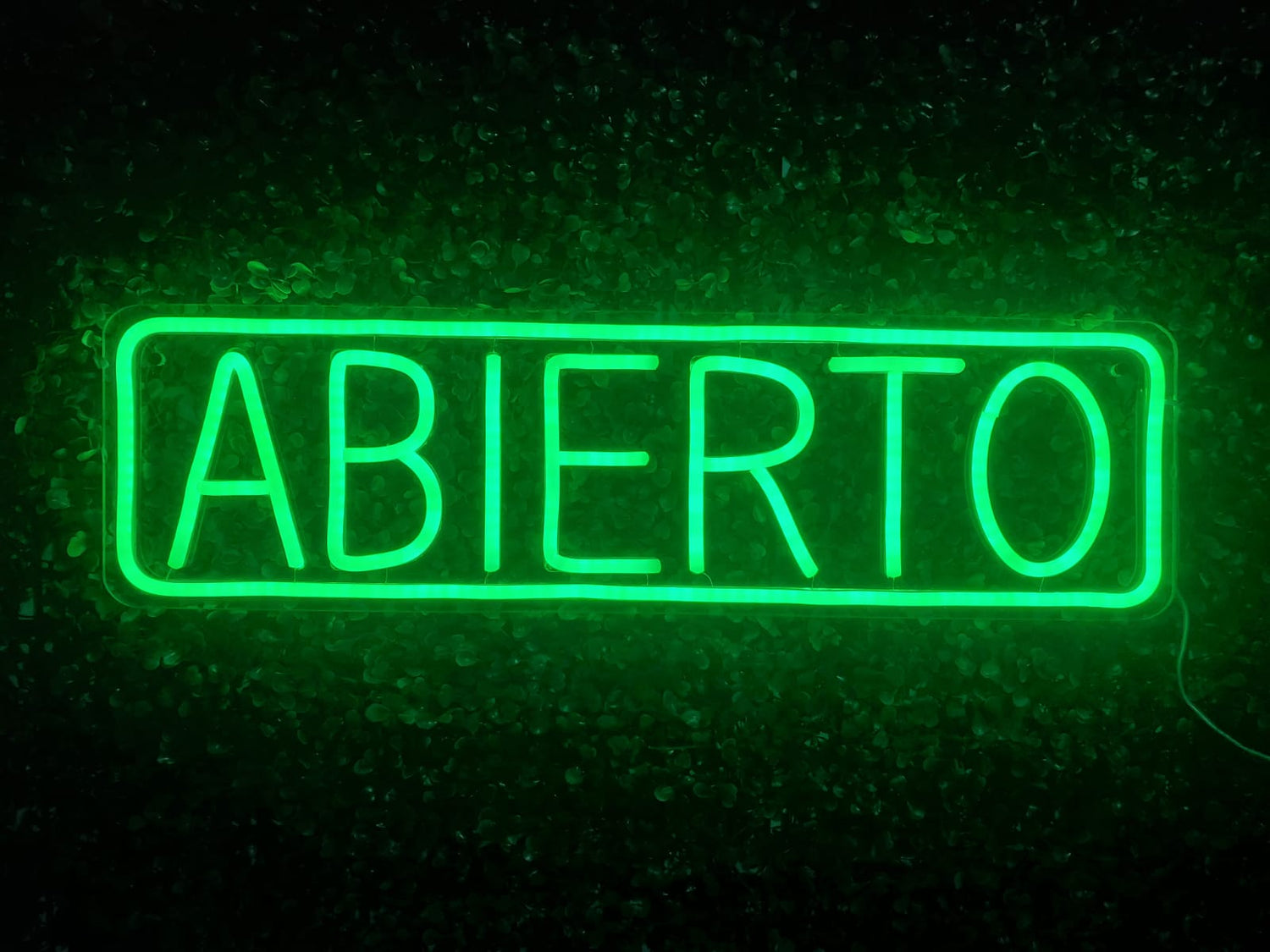 Productos de Linea-Plantillas